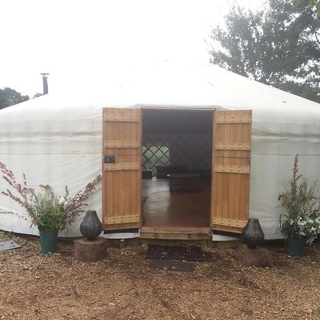 Silver Airstream Glamping & Rental Chichester Extérieur photo