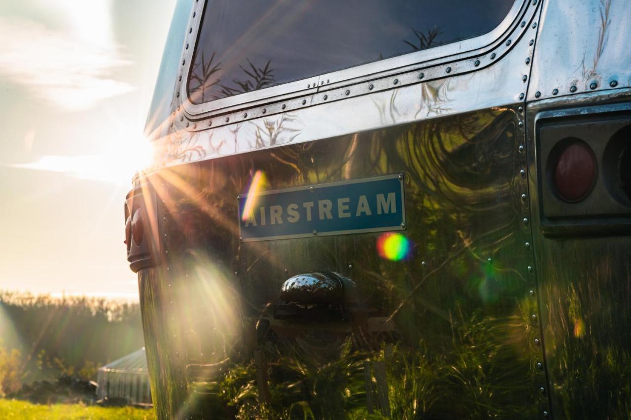Silver Airstream Glamping & Rental Chichester Extérieur photo
