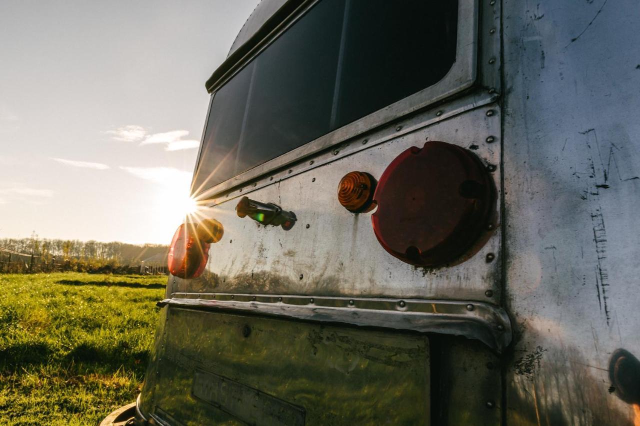 Silver Airstream Glamping & Rental Chichester Extérieur photo