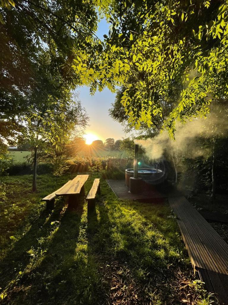 Silver Airstream Glamping & Rental Chichester Extérieur photo